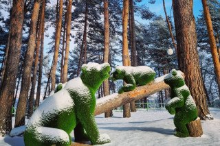 Новости